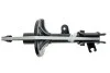 Амортизатор HYUNDAI/KIA Tucson/Sportage "FL "04-10 "(Gas) 314 994