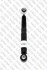 Амортизатор підвіски задній Citroen Berlingo Multispace (08-) (215872G) SIAAM