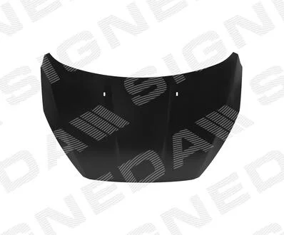 Капот FORD FOCUS Signeda PFD20196A (фото 1)