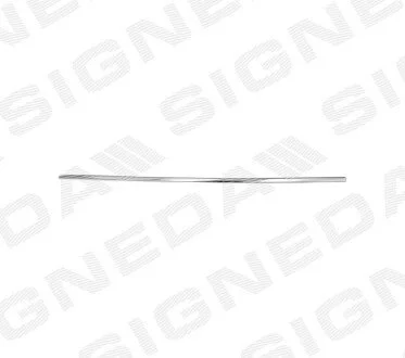 МОЛДИНГ НА ДВЕРІ | VW PASSAT (B6), 06 - 10 Signeda PVW88019L