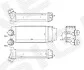 ІНТЕРКУЛЕР | CITROEN BERLINGO (7_), 02.08 - 06.12 RI96514