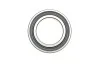 ПОДШИПНИК ШАРКОВЫЙ d>30 6009-2RS1/C3