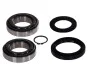 Комплект подшипника ступицы колеса SKF VKBA 3420