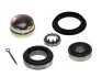 Комплект подшипника ступицы колеса SKF VKBA 529