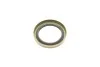 Подшипник колеса, комплект SKF VKBA 596 (фото 2)
