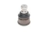 SKF RENAULT Шаровая опора нижн.(конус 24mm) лев./прав.Master II,Opel Movano 07- VKDS 316007
