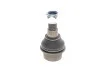 Кульова опора MERCEDES/VW Sprinter(901-904)/LT &gt;&gt;&quot;06 SKF VKDS 318009 (фото 1)