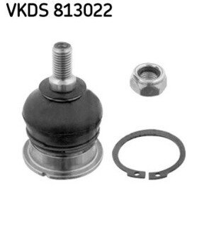 Element zawieszenia HONDA ACCORD SKF VKDS813022