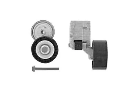 Ролик натяжний SKF VKM32022