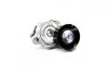 Ролик ремня приводного натяжной (VKM36244) SKF VKM 36244