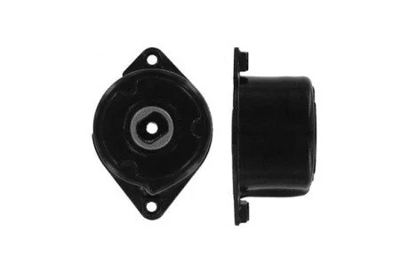 Роликовый модуль натяжителя ремня SKF VKM 38304
