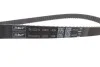 Ремкомплект ГРМ AUDI/SEAT/SKODA/VW A2/Altea/Fabia/Octavia/Roomster/Bora/Caddy/Golf/Polo &quot;1,4-1,6 &quot;97 SKF VKMA 01121 (фото 5)