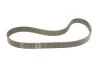 Ремкомплект ГРМ AUDI/FORD/SEAT/SKODA/VW A2,3,4,6/Octavia/Superb/Bora/Golf/Passat &quot;1,4-2,0TDI &quot;95-10 SKF VKMA 01142 (фото 2)