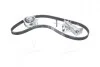 Ремкомплект ГРМ AUDI/SEAT/SKODA/VW A4/A6/Exeo/Superb/Passat "1,8-2,0 "95-10 VKMA 01918