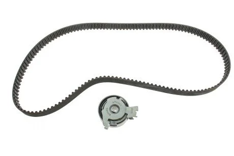Комплект (ремень+ролики)) SKF VKMA 05402