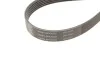 Комплект дорожных поясов SKF VKMA 31098 (фото 4)