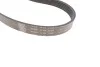 Поликлиновой ременный комплект SKF VKMA 36055 (фото 3)