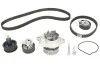 Ремкомплект ГРМ + помпа SKODA/VW Fabia/Octavia/Caddy/Golf/Polo &quot;1,4 &quot;99&gt;&gt; SKF VKMC 01122 (фото 2)