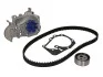 Ремкомплект ГРМ + помпа DACIA/RENAULT Logan/Sandero/Clio/Kangoo/Megane/Sandero/Thalia "1,4-1,6 "96>> VKMC 06003