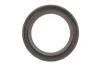 Ланцюг розподілвалу (к-т) SEAT/SKODA/VW Ibiza/Fabia/Fox/Polo "1,2 "01-14 SKF VKML 81001 (фото 7)