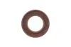 Комплект привідного ланцюга SKF VKML 83503 (фото 9)