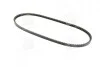 Ремень клиновый (выр-во SKF) VKMV13AVx1050