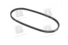 Ремень клиновый (выр-во SKF) VKMV13AVx875