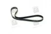 Ремень поликлин. (пр-во SKF) VKMV 4PK855
