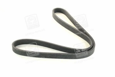 Дорожный пас SKF VKMV 6DK1195