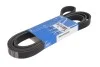 Дорожный пас VKMV 6PK2545