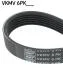 Ремінь генератора Citroen Berlingo/Peugeot Partner 1.6HDI (6PK800) SKF VKMV6PK798 (фото 1)