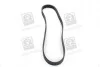Поликлиновой ремень SKF VKMV6PK923 (фото 4)