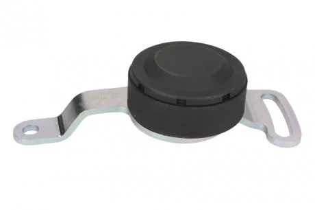 Натяжна планка паска ГРМ Smart Cabrio/Fortwo/City-Coupe (MC01) 0.6-0.8CDI 98- SNR NTN GA351.40