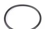 SOLGY 101016 (фото 2)