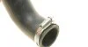 Патрубок интеркулера VW Golf V/VI/Passat/Tiguan/Touran 1.4 ALK/CNG 05- SOLGY 114064 (фото 5)