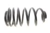 Пружина підвіски SOLGY 212138 (фото 1)