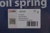 Пружина підвіски SOLGY 212147 (фото 2)