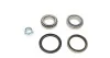 Підшипник маточини (ремкомплект) SOLGY 216132 216132