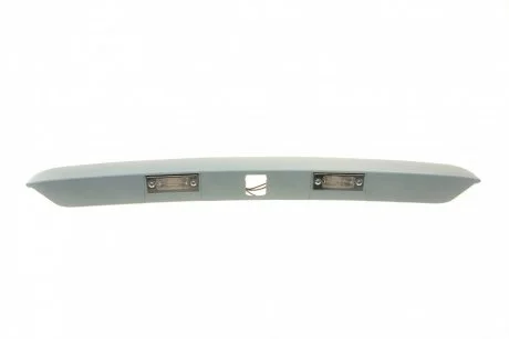 Панель подсветки номера (заднего) VW T6 15- (ляда) SOLGY 304089