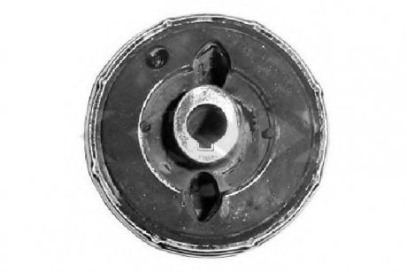 Підвіска, важіль незалежної підвіски колеса SPIDAN 410995 (фото 1)