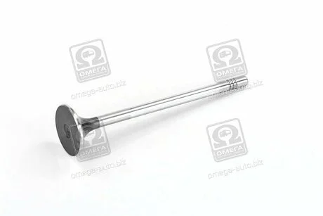 Клапан выпускной D20, D27 SSANGYONG 6650500427