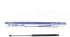 Пружина газова NISSAN Qashqai 10/06-04/14 016723