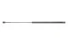 Пружина газова MERCEDES-BENZ S280 02/99-08/05 1263MO