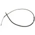 Starline fВkbowden LABR1157
