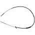 Starline fВkbowden LABR1255