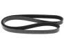 Ремень ручейковый Starline SR 4PK955