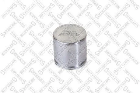 Поршень гальм. супорта перед. Audi/VW /Citroen /Dacia /Fiat /Peugeot /Renault (Lucas 54x54) STELLOX 04-98301-SX (фото 1)
