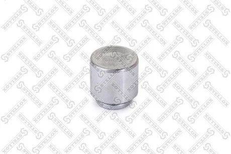 Поршень гальмівного супорта переднього 43mm Mitsubishi Pajero II 90-00/Pajero Sport 08> / d43 Akebono / Nissan STELLOX 04-98307-SX