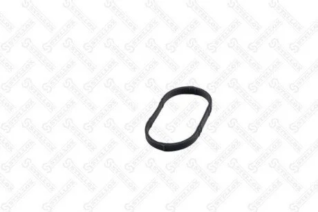 Прокладка впускного колектора IN Renault Megan 1.6 02- STELLOX 11-26075-SX