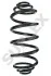 Пружина KANGOO Express (FW0/ 27339